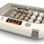 incubadoras con volteo automatico baratas