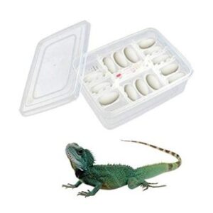 Caja de reproducción de Reptiles heresell 16 huevos