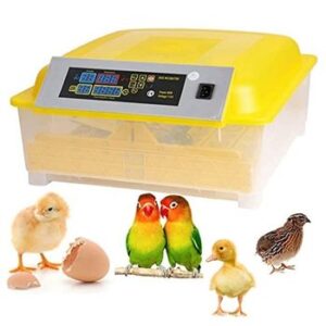 Incubadora Automática de 48 Huevos