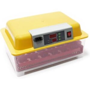 Incubadora automática capacidad para 24 huevos