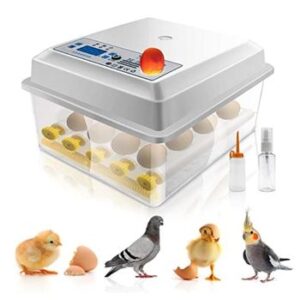 Incubadora de huevos Kacsoo Mini 16 huevos
