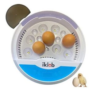 Incubadora huevos automática de codorniz 9 12