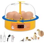 incubadora de huevos de patos