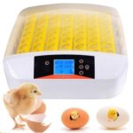 incubadora de huevos para gallinas